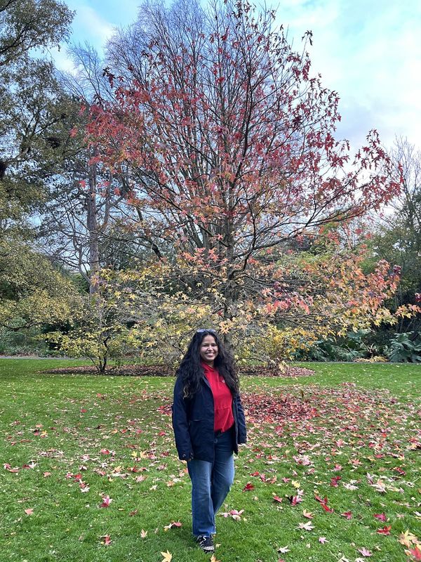 Autumn at the Botanic Gardens — photo 4